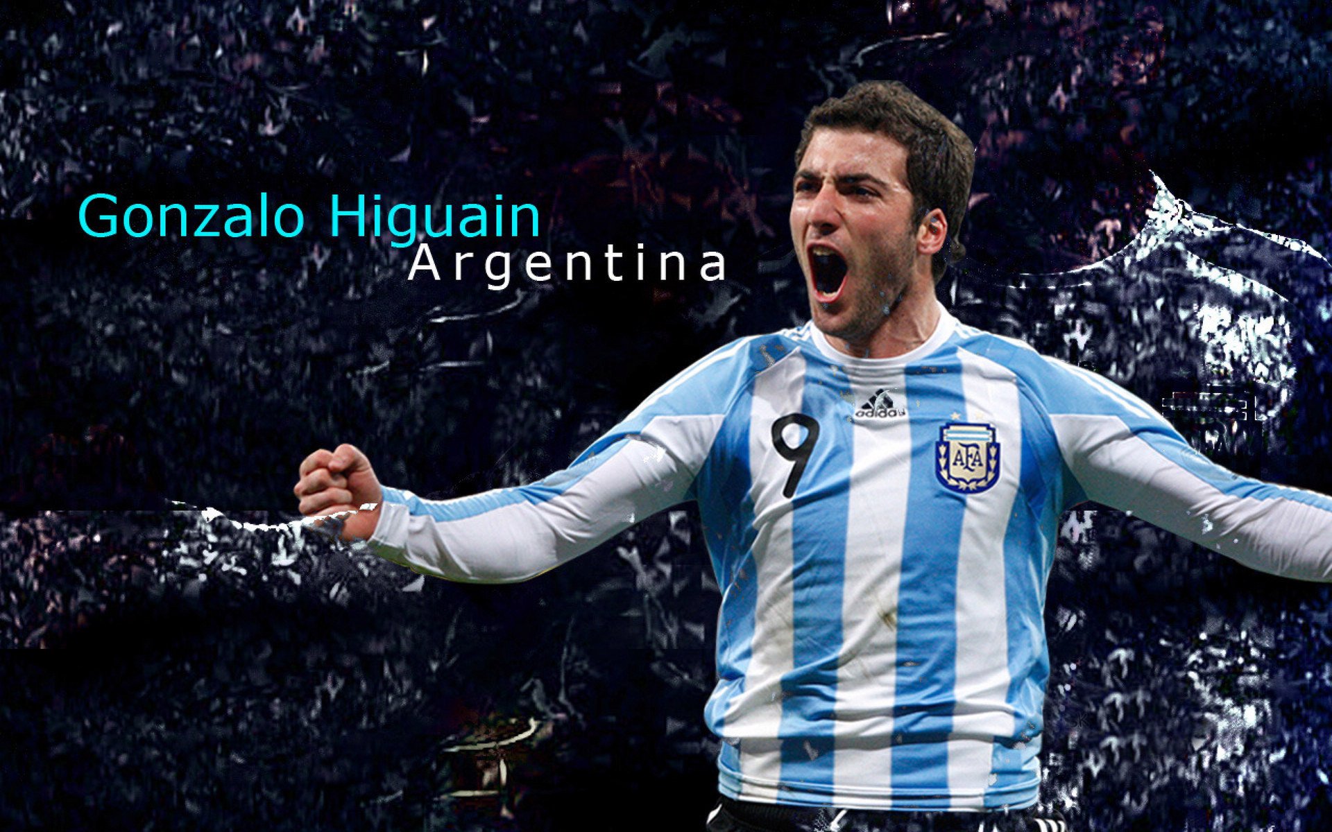 国际体育组织对比研究与借鉴建议，主要国际体育组织及其相互关系